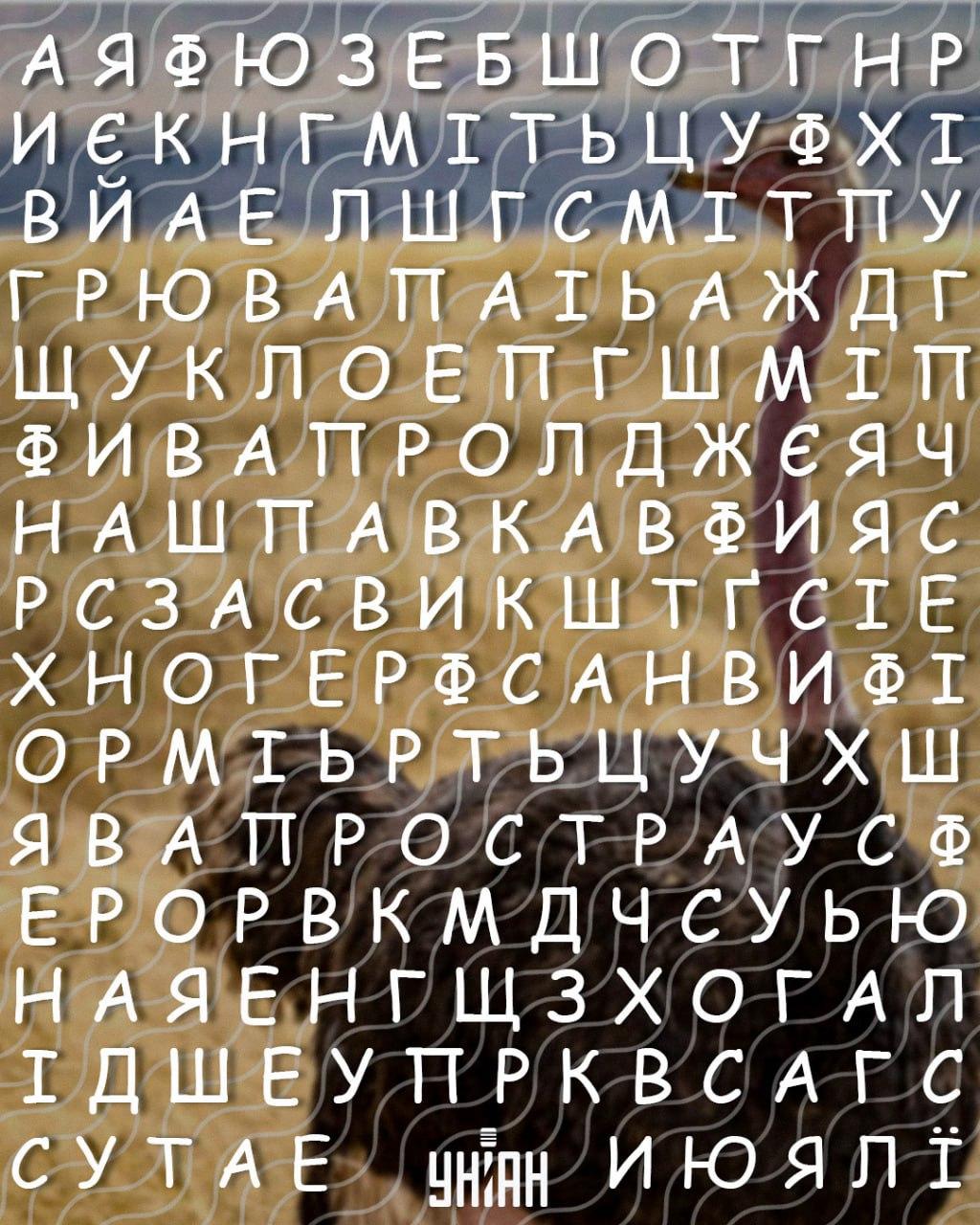 Hanya orang yang mempunyai IQ tinggi yang akan menemui perkataan 'burung unta' dalam 10 saat: teka -teki rumit Hanya orang yang mempunyai IQ tinggi yang akan menemui perkataan 'burung unta' dalam 10 saat: teka -teki rumit