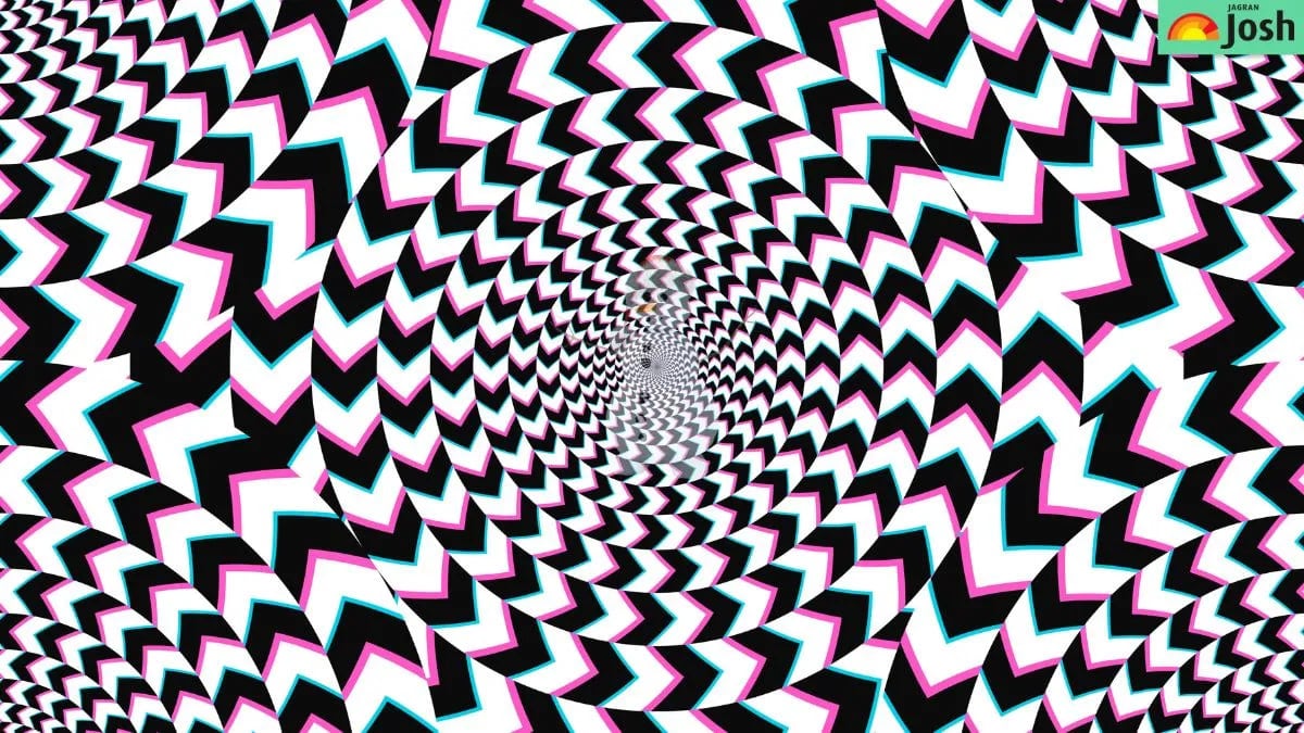 Teka -teki untuk penglihatan yang berminat: anda perlu mencari imej tersembunyi dalam 5 saat