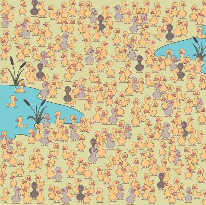 Misteri dan perkara utama