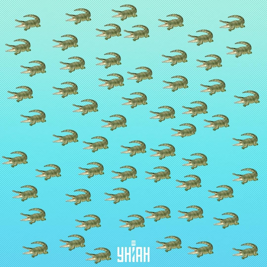 Reptilia menyembunyikan, tetapi ia mesti dilihat dalam 15 saat / kolaj unian