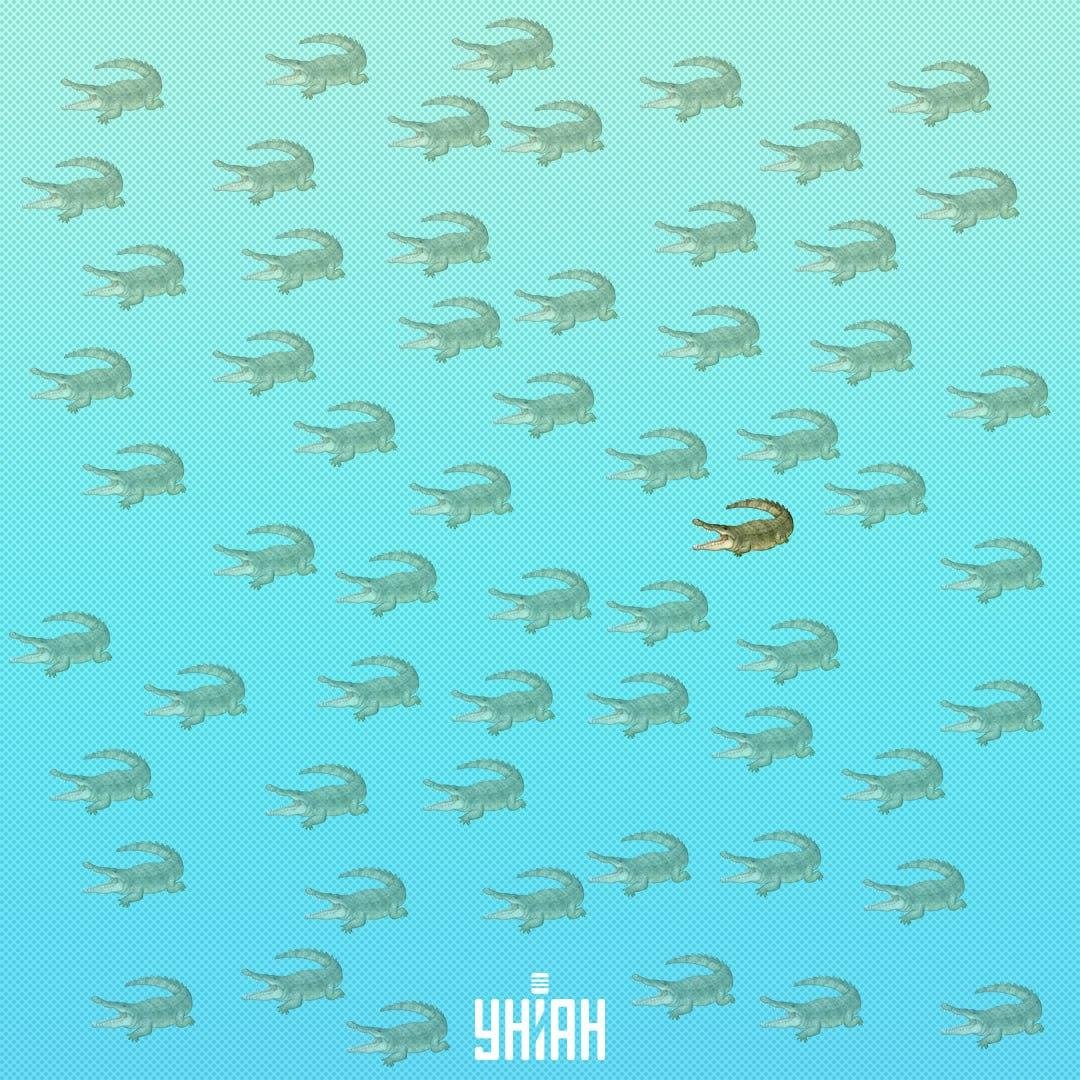 Perlu mencarinya lebih dekat ke pusat, di sebelah kanan / kolaj unian