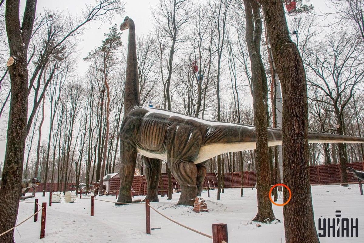 Anjing itu berhampiran sudut kiri bawah gambar / kolaj unian