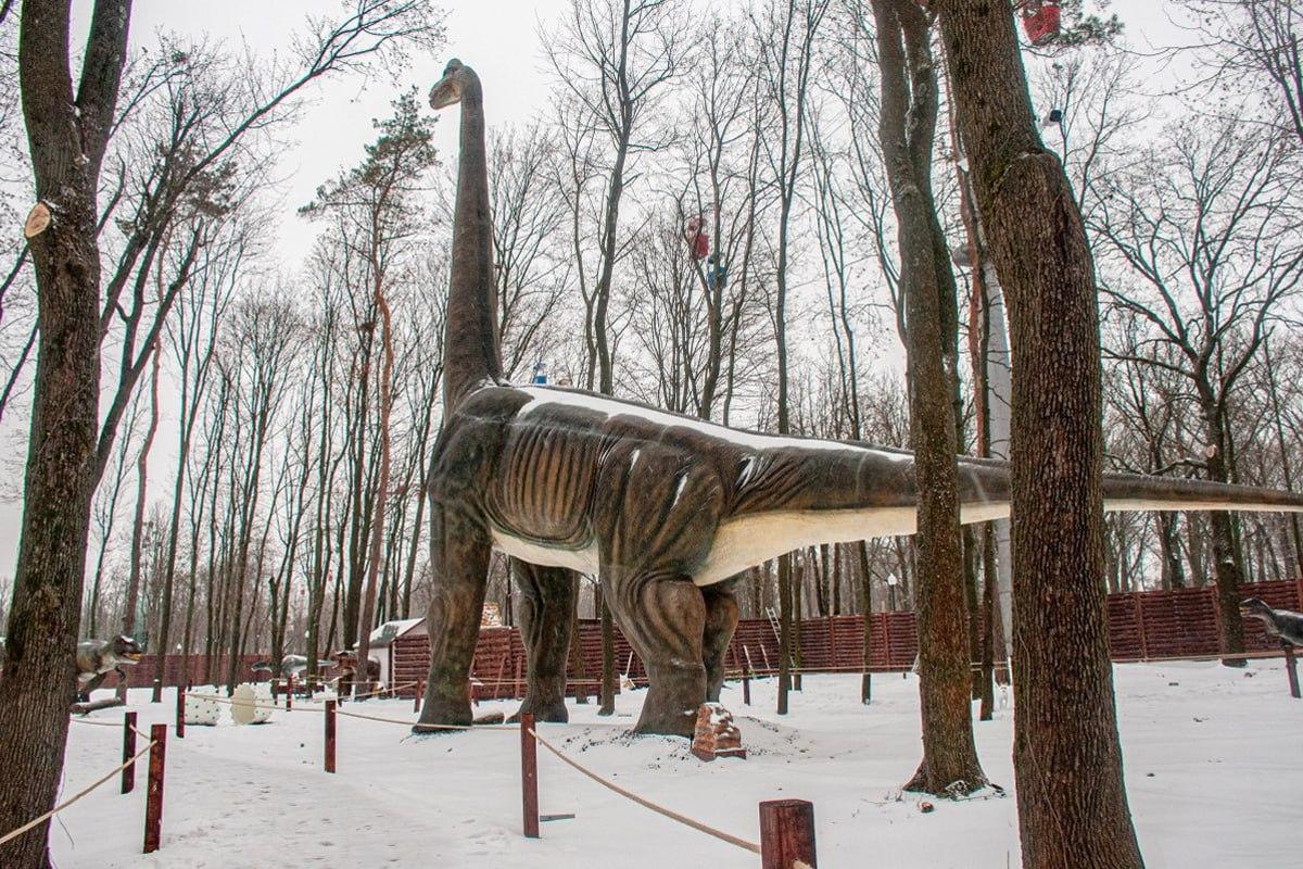 Cari anjing di antara salji dalam 10 saat / kolaj unian