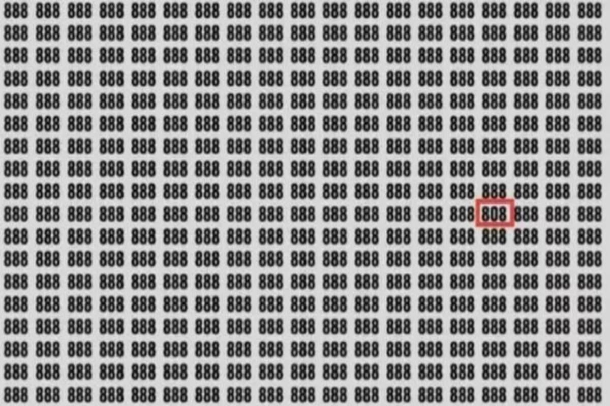 Jawab teka -teki / foto oleh Jagran Josh