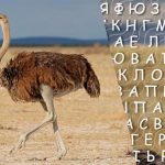 Hanya orang yang mempunyai IQ tinggi yang akan menemui perkataan "burung unta" dalam 10 saat: teka -teki rumit Hanya orang yang mempunyai IQ tinggi yang akan menemui perkataan