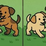 Ujian IQ: Cari 3 perbezaan gambar danak anjing dalam 51